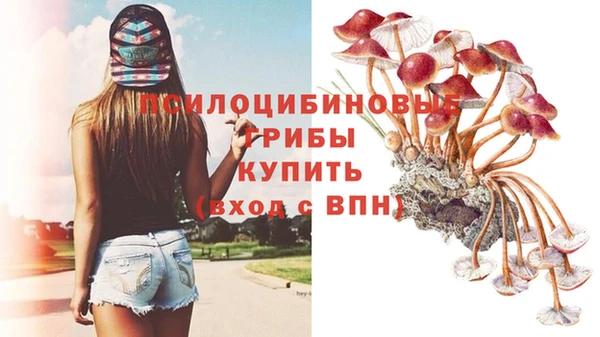 экстази Кукмор